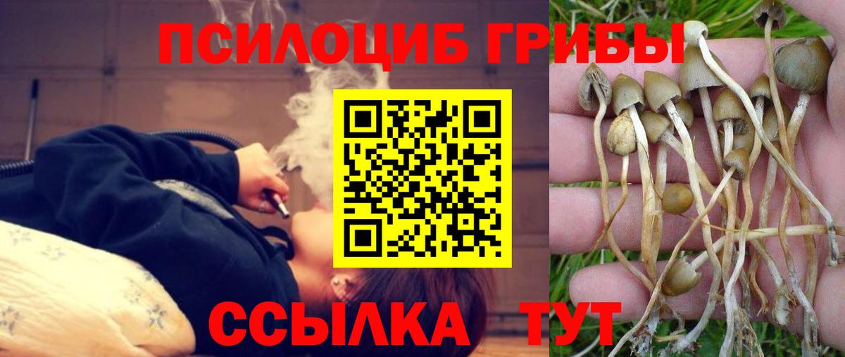 Псилоцибиновые грибы мухоморы Армавир