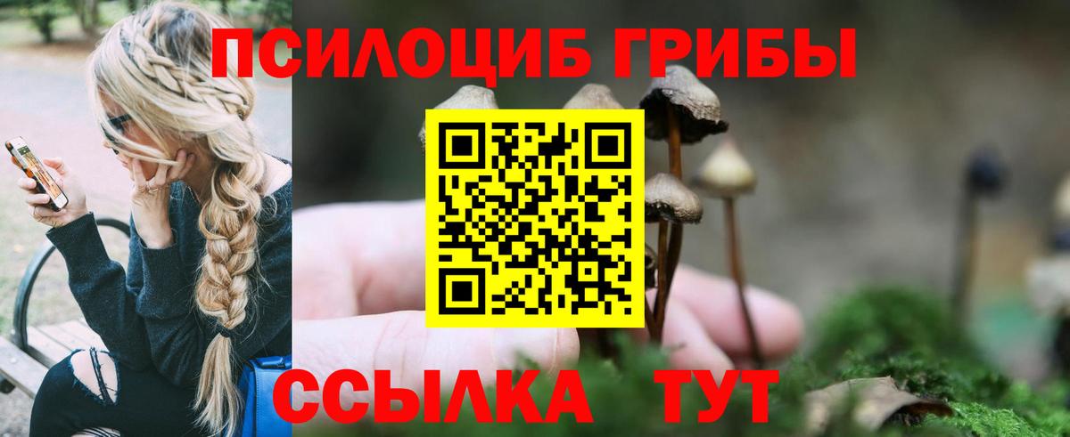 Псилоцибиновые грибы ЛСД  Вход с VPN  Псилоцибиновые грибы Cubensis  купить закладку  Армавир 